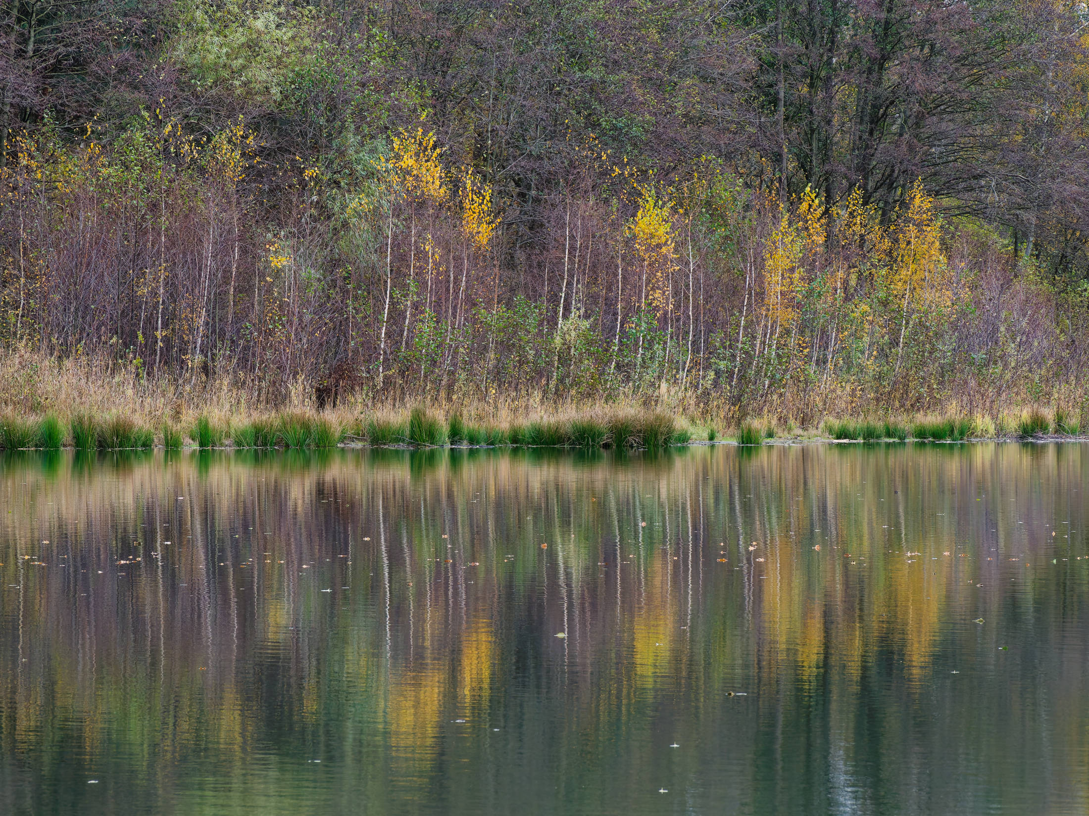 pb150010-6a5e5a633d3d5.jpg