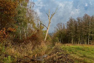 Allerkanal-2013-11-24-11-59-48_Artikel.jpg