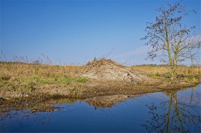 N1005418_Artikel.jpg