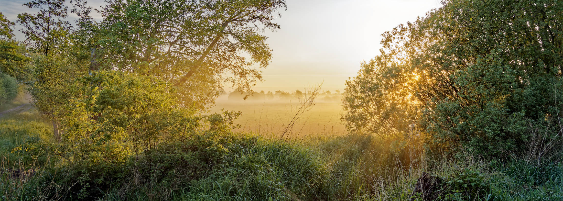 Winter am Allerkanal