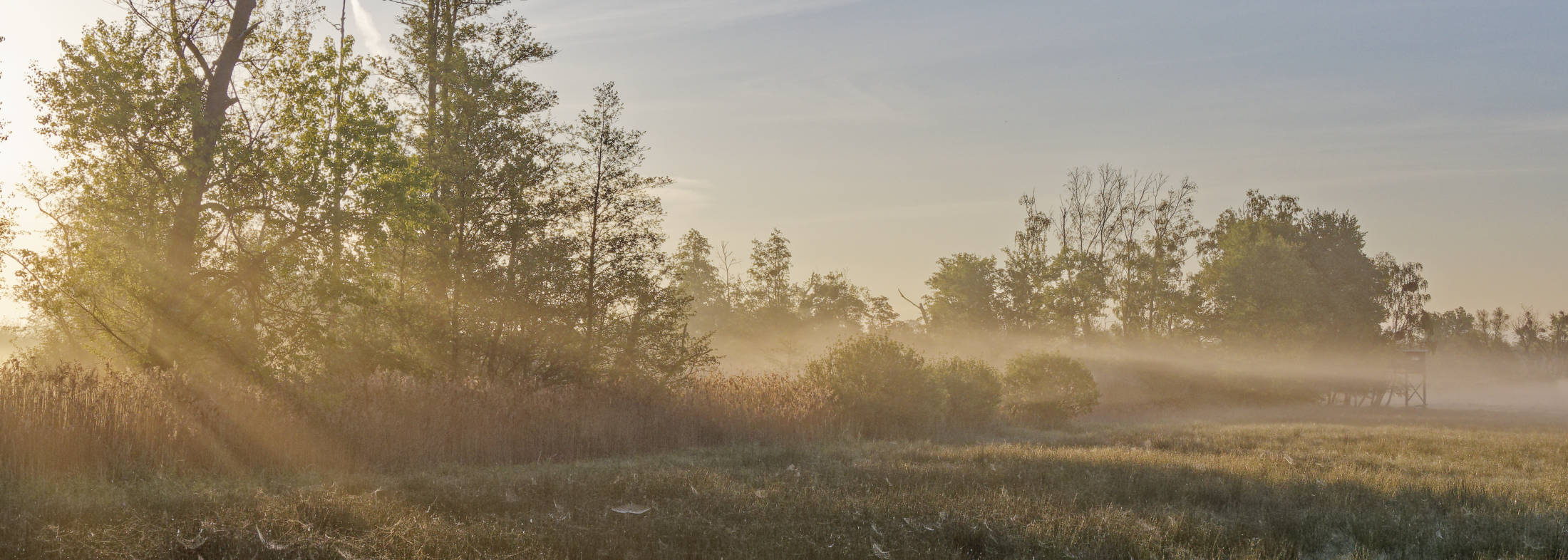 Winter am Allerkanal