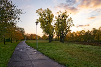 N1005624.jpg